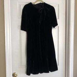 Adriana Papell velvet dress